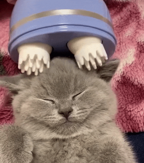 Electric Pet Head Massager - Stress Relief for Cats & Small Dogs
