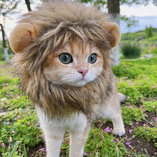 Cat Lion Mane Costume - Adorable Pet Halloween Outfit for Cats & Small Dogs